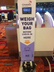 21369499_483762742016769_2812403706038348033_n